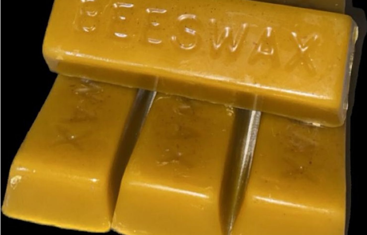 PHOTO-2023-01-26-18-59-39 - Copy