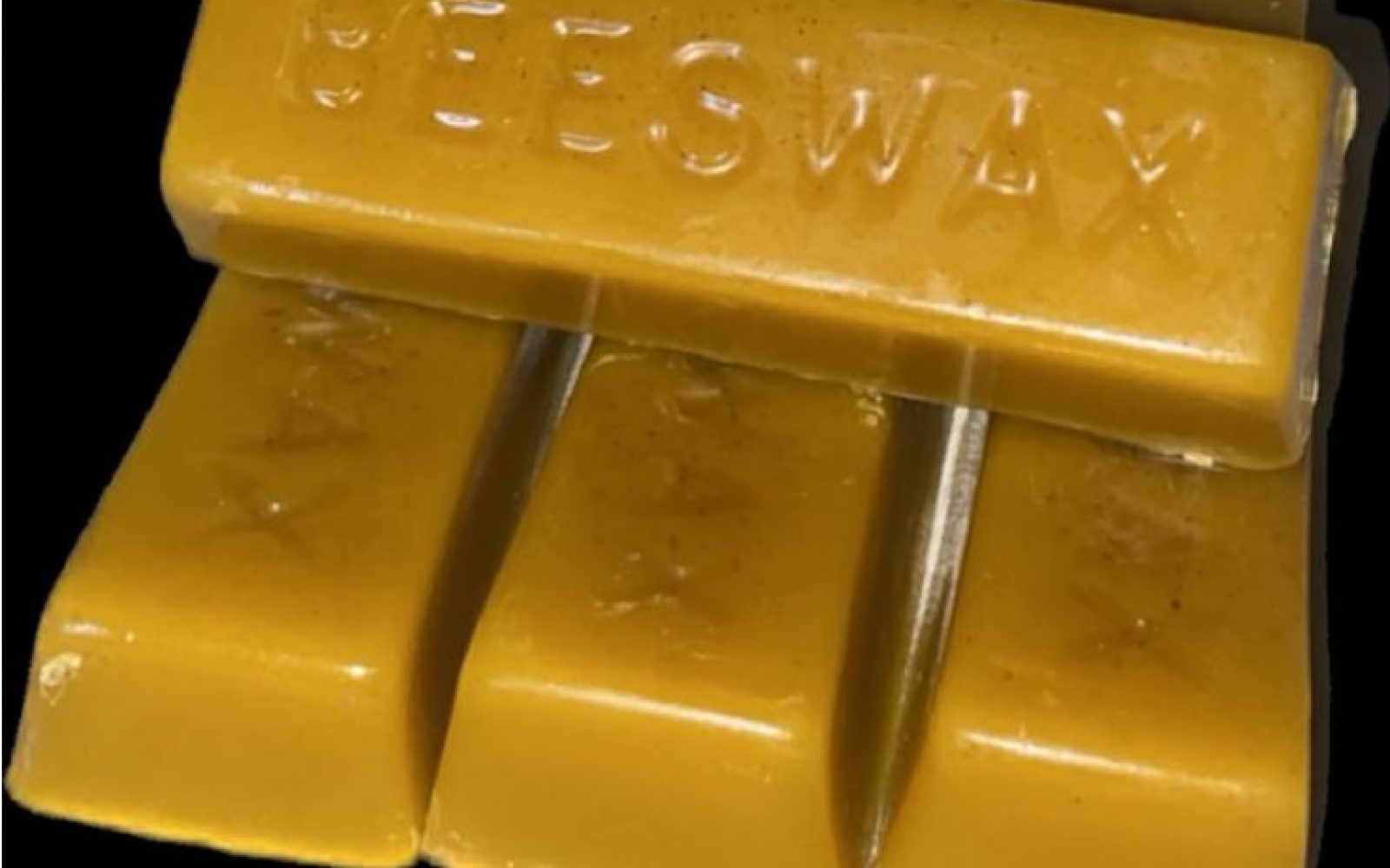 PHOTO-2023-01-26-18-59-39 - Copy