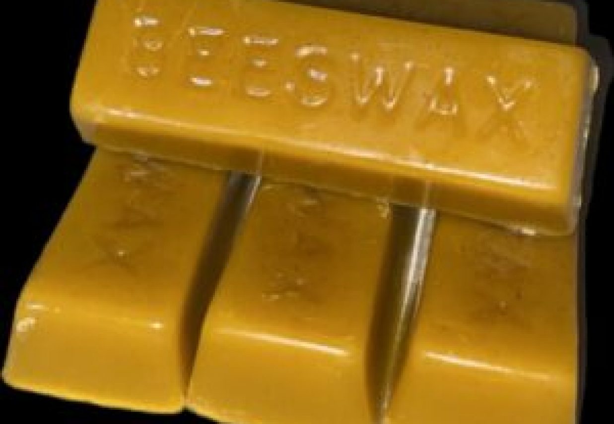 PHOTO-2023-01-26-18-59-39