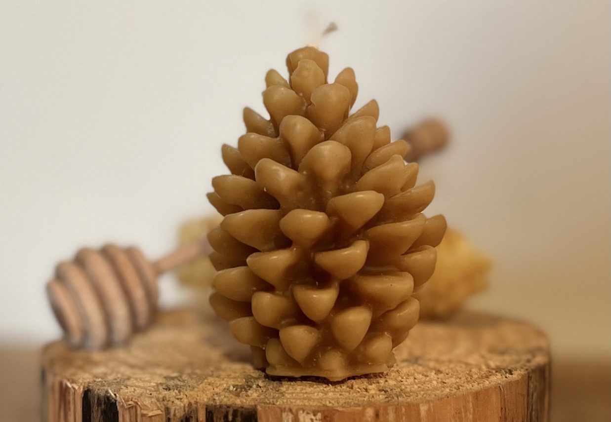 Pine cone candle
